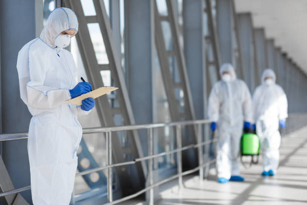 Best Mold Damage Restoration  in Lake Park, FL