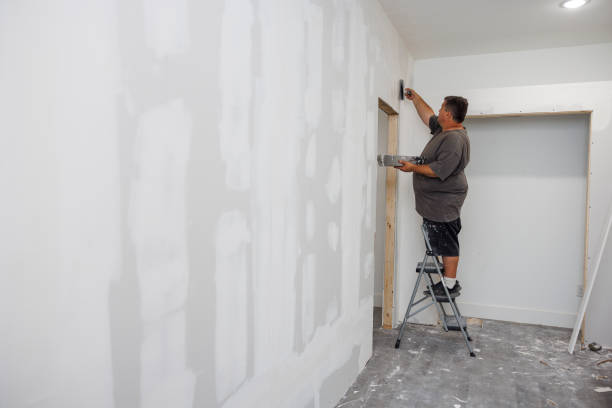 Trusted Lake Park, FL Mold Removal Experts