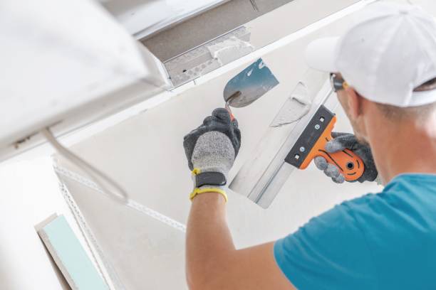 Best Crawl Space Mold Remediation  in Lake Park, FL